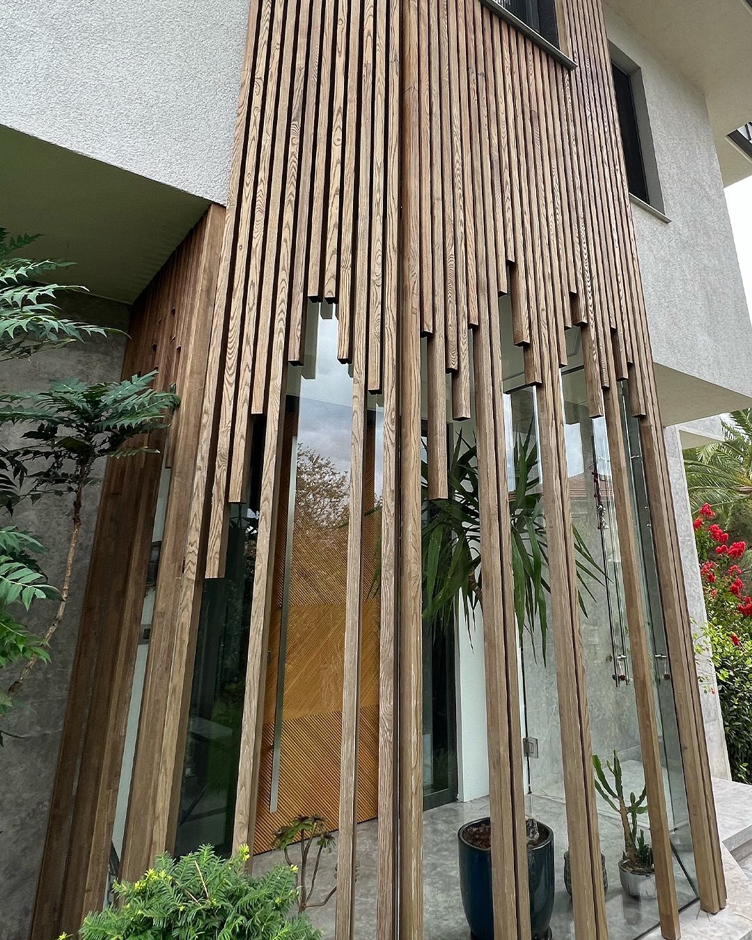 tantimber